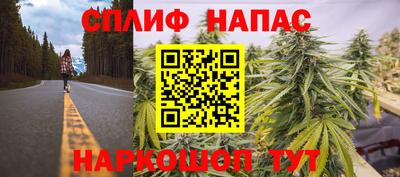 эйфоретик Славгород