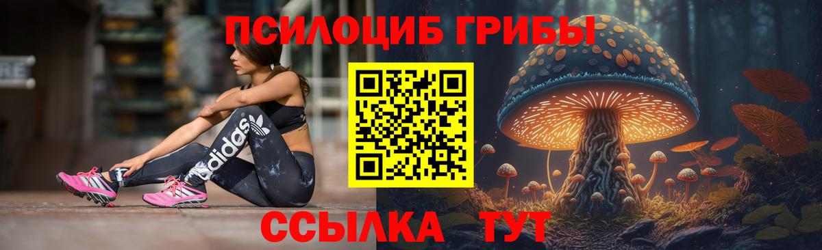 Галлюциногенные грибы ЛСД  Вход с VPN  Новошахтинск 